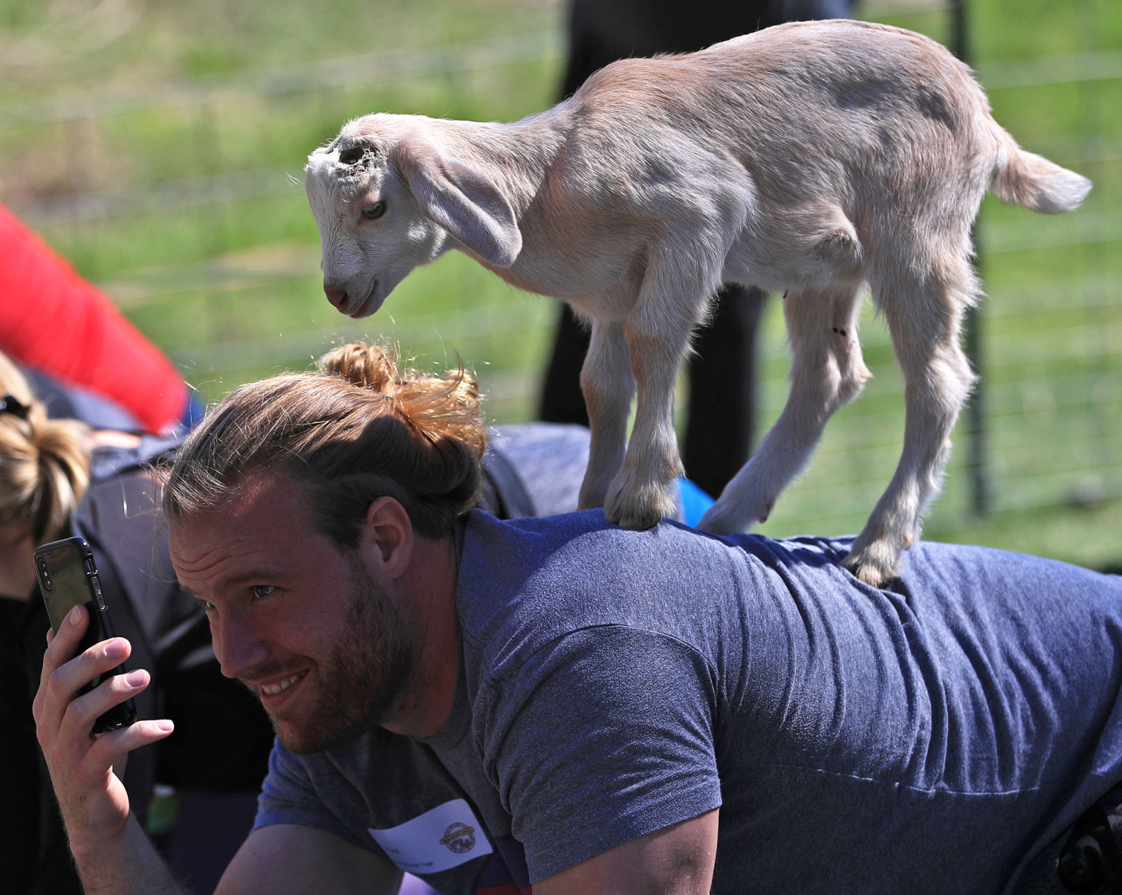 Namaste Goat Yoga